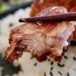 用戶對於お弁当のかわの的評論圖