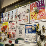 用户对于大厚岸的评论图