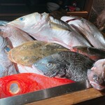 User's review image for なきざかな 新宿店はなれ