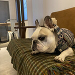 User's review image for ヤングツリーズコーヒー