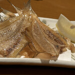 User's review image for へぎそば匠 六本木店