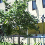 User's review image for 6889cafe