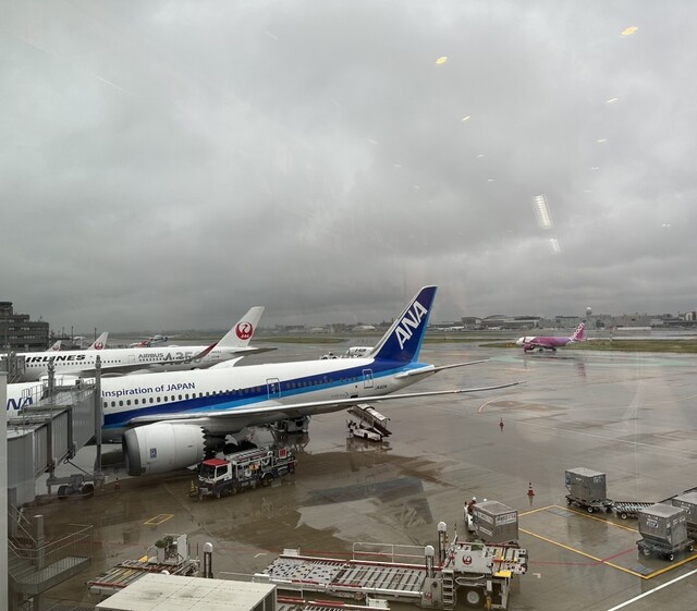 用戶對於TSUTAYA BOOKSTORE CAFE LOUNGE 福岡空港店的評論高清圖