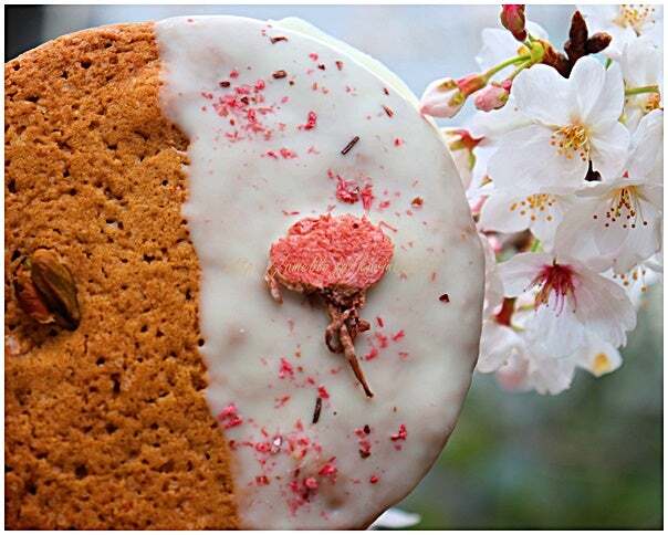 User's review image for SHIBUichi BAKERY