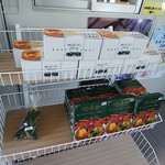 用户对于ポッポ館 ゆに的评论图