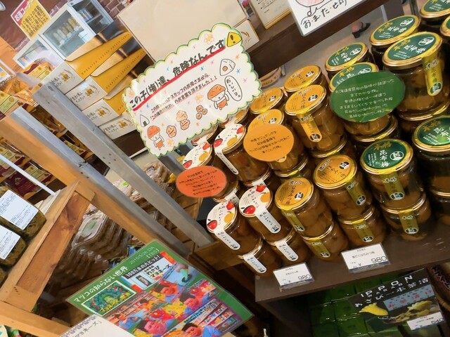 用戶對於道の駅 むかわ四季の館的評論高清圖