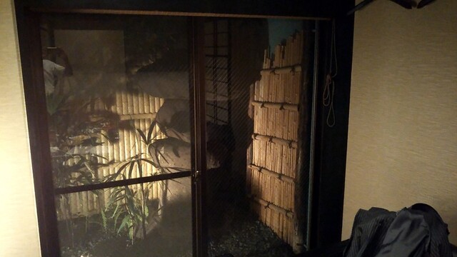 User's recommendation image for 花かぐら