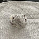 User's review image for 葛飾 伊勢屋 亀有本店