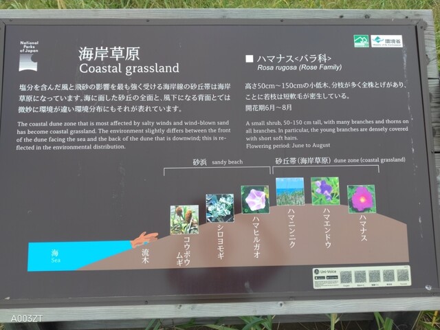 用户对于ferme的评论高清图