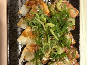 用户对于餃子工房ちびすけ 南心斎橋店的评论图