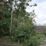 用户对于トコハベーカリー的评论图