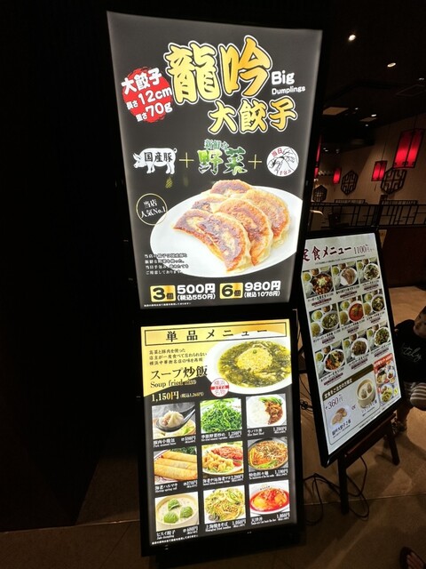 用户对于餃子の王様 龍吟 ダイバーシティ店的评论高清图