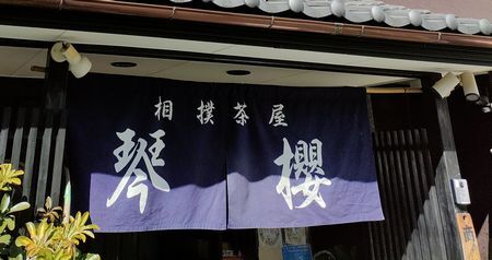 用戶對於琴櫻的評論高清圖