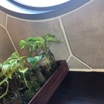 User's review image for エービーシーカフェ