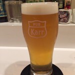 用户对于PUB ｋａｒｒ的评论图