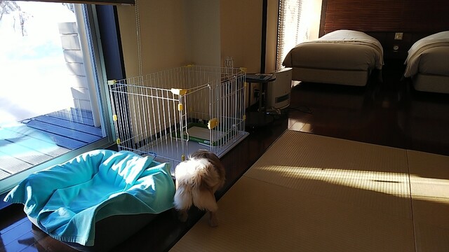 用户对于水の謌的评论高清图