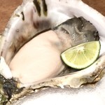 用户对于八幡町 ののか的评论图