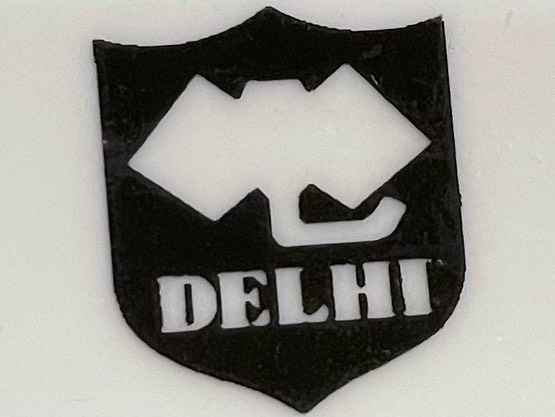 用户对于デリー 札幌店的评论图