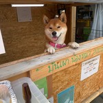用戶對於犬のやきいも屋さん的評論圖