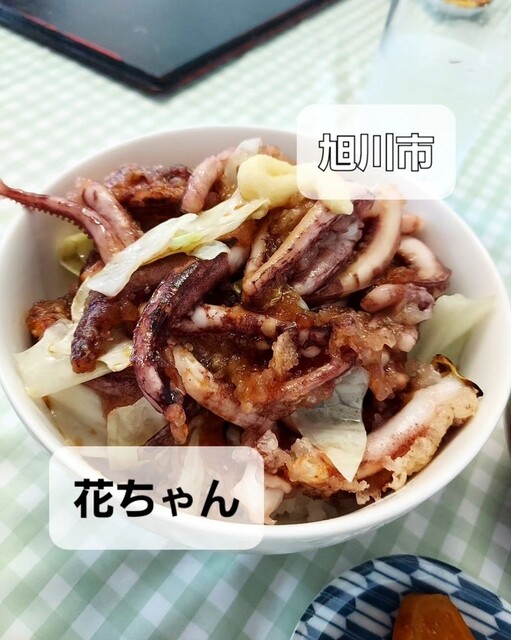 用户对于花ちゃん的评论高清图