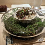 用户对于鮨m的评论图