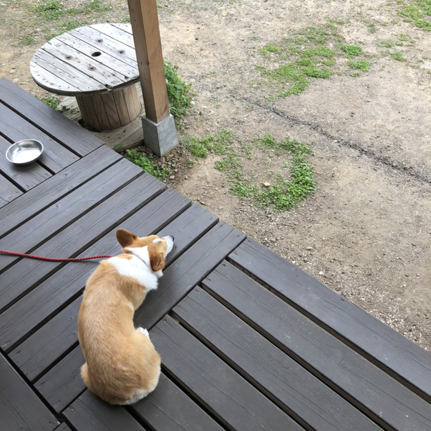 用户对于ゴテンザン ティーラボ的评论图