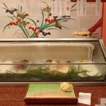 用戶對於傳七すし 西院店的評論圖