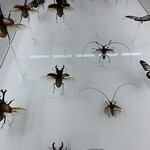User's review image for タカオ 599カフェ