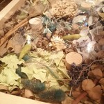 User's review image for KASUMI izakaya+restaurant