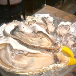 用戶對於オストレア oysterbar&restaurant  赤坂見附店的評論圖
