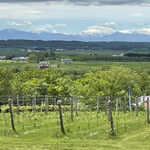 用戶對於池田ワイン城的評論圖