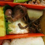 User's review image for 旅弁当 新大阪