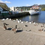 User's review image for ザ パーク