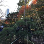 用戶對於UTカフェ・ベルトレ・ルージュ的評論圖