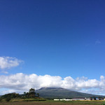 User's review image for 軍川