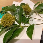 用戶對於閑臥庵的評論圖