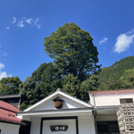 用戶對於澤乃井 きき酒処的評論圖
