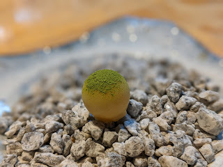User's review image for 東山 ハイアット リージェンシー 京都