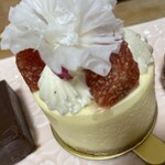 User's review image for RIVA chocolatier