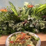 User's review image for 湘南パンケーキ 大阪ベイタワー店