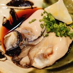 用户对于津軽海峡を渡って来た男 あきら的评论图