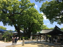 用戶對於こやすもち的評論圖