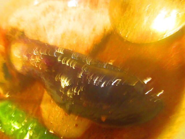 用户对于ターラ的评论高清图