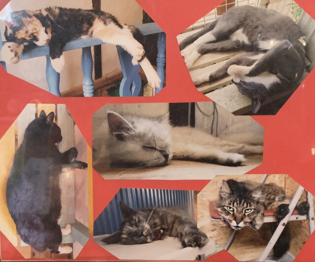 User's recommendation image for ジャパン アンティーク 弁・弁