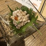 User's review image for サカナトニック BACU