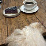 用戶對於Sonu Sonu的評論圖