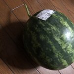 用戶對於三連水車の里あさくら的評論圖