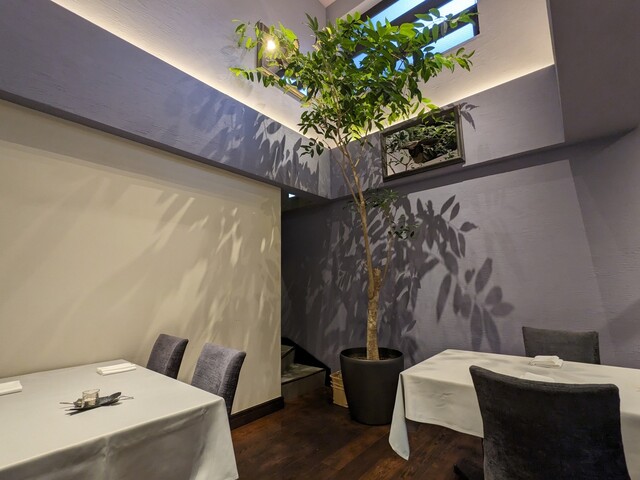 User's recommendation image for misola