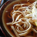 用户对于Erika的评论图