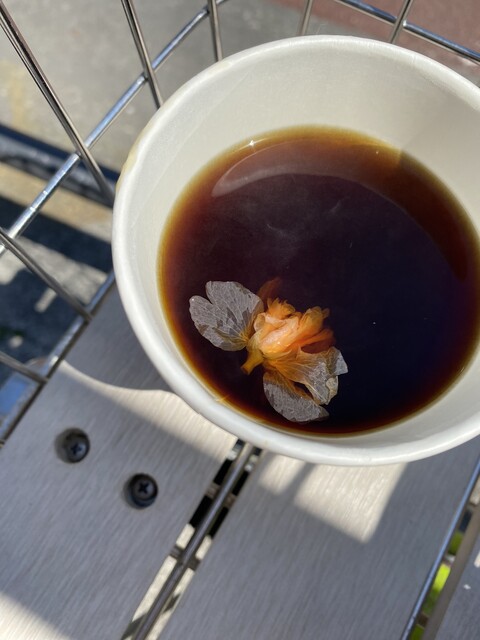 User's recommendation image for メジ カフェ